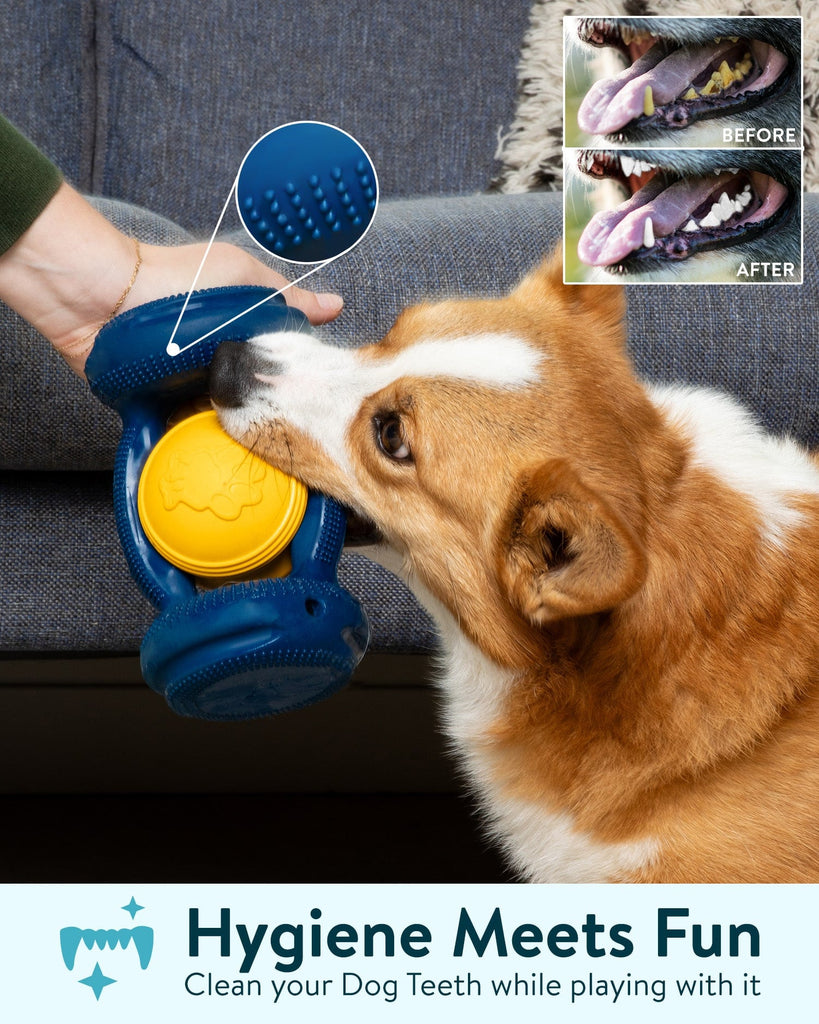 Dogslanding™ Calming PawPartner