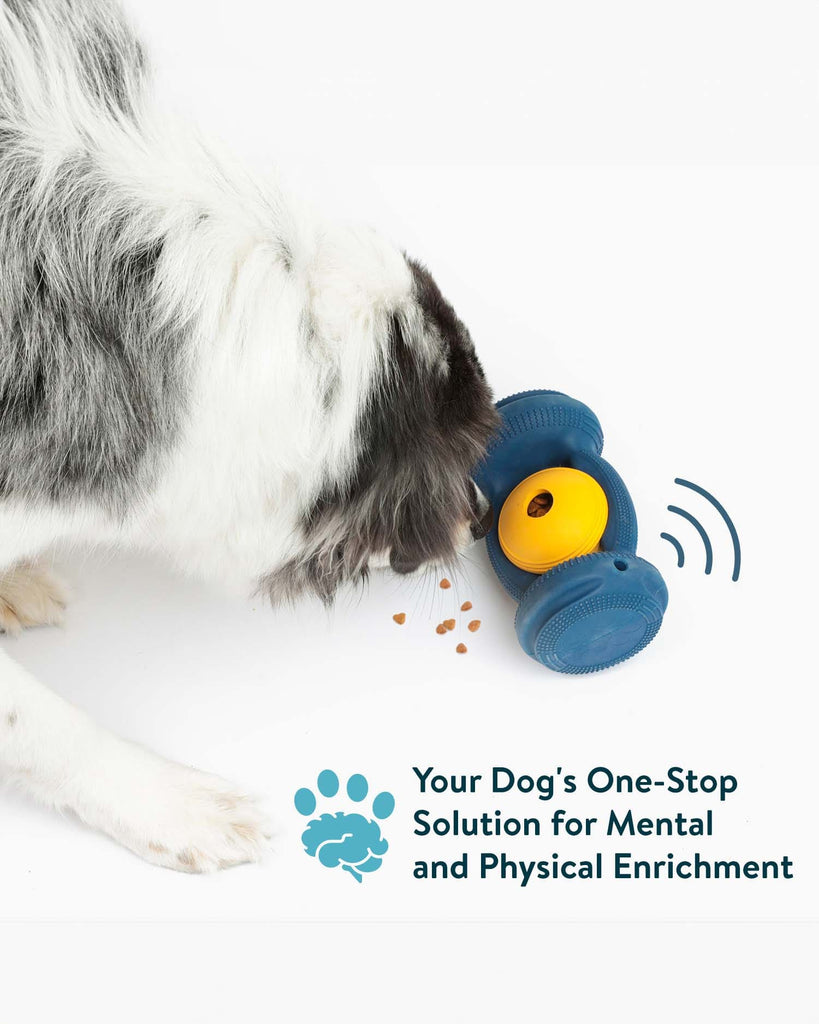 Dogslanding™ Calming PawPartner