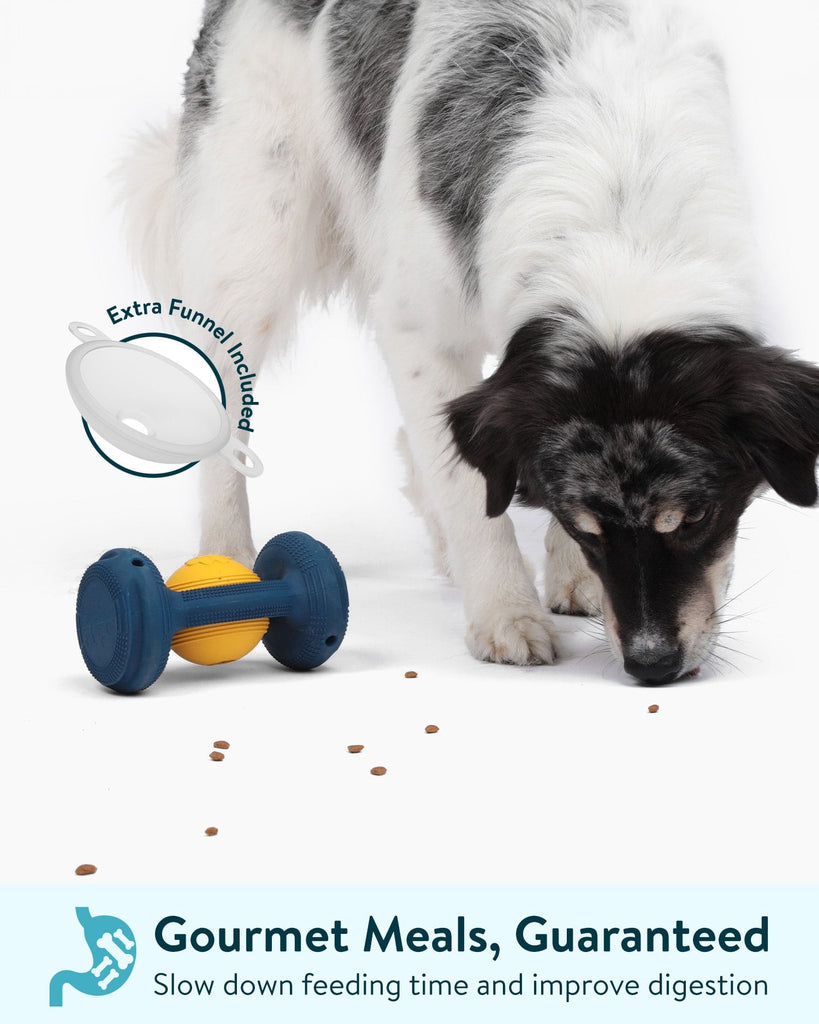 Dogslanding™ Calming PawPartner