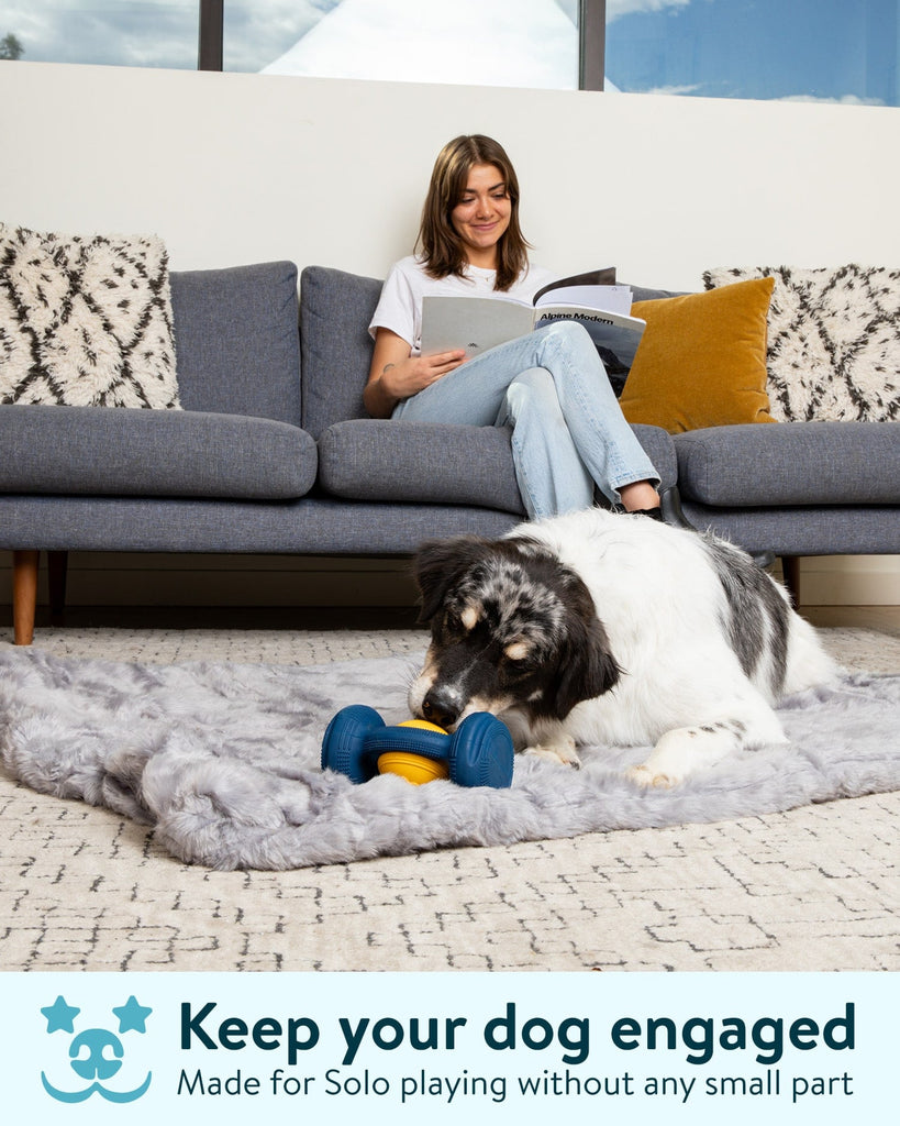 Dogslanding™ Calming PawPartner