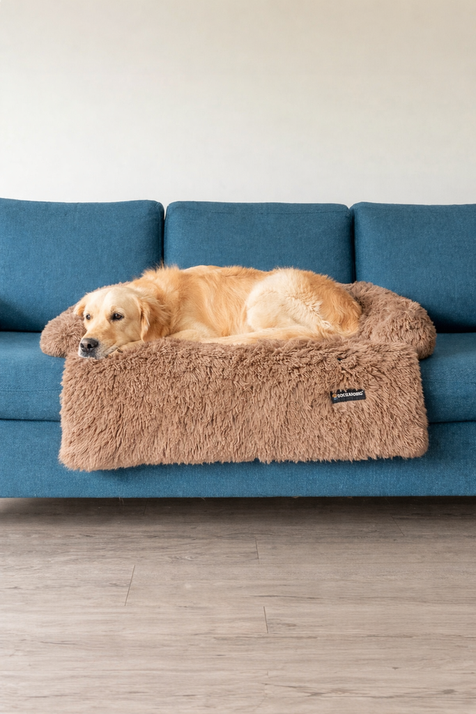 Calming Furniture Protector