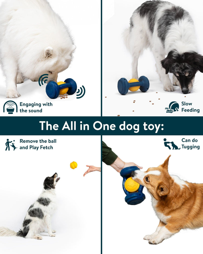Dogslanding™ Calming PawPartner