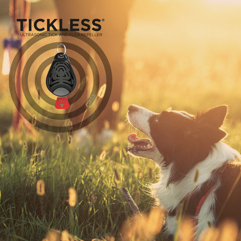 TICKLESS® Pet - Chemical-free, ultrasonic tick and flea repellent for pets