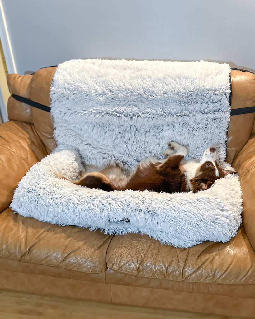 Dogslanding™ PuParadise Couch Cover