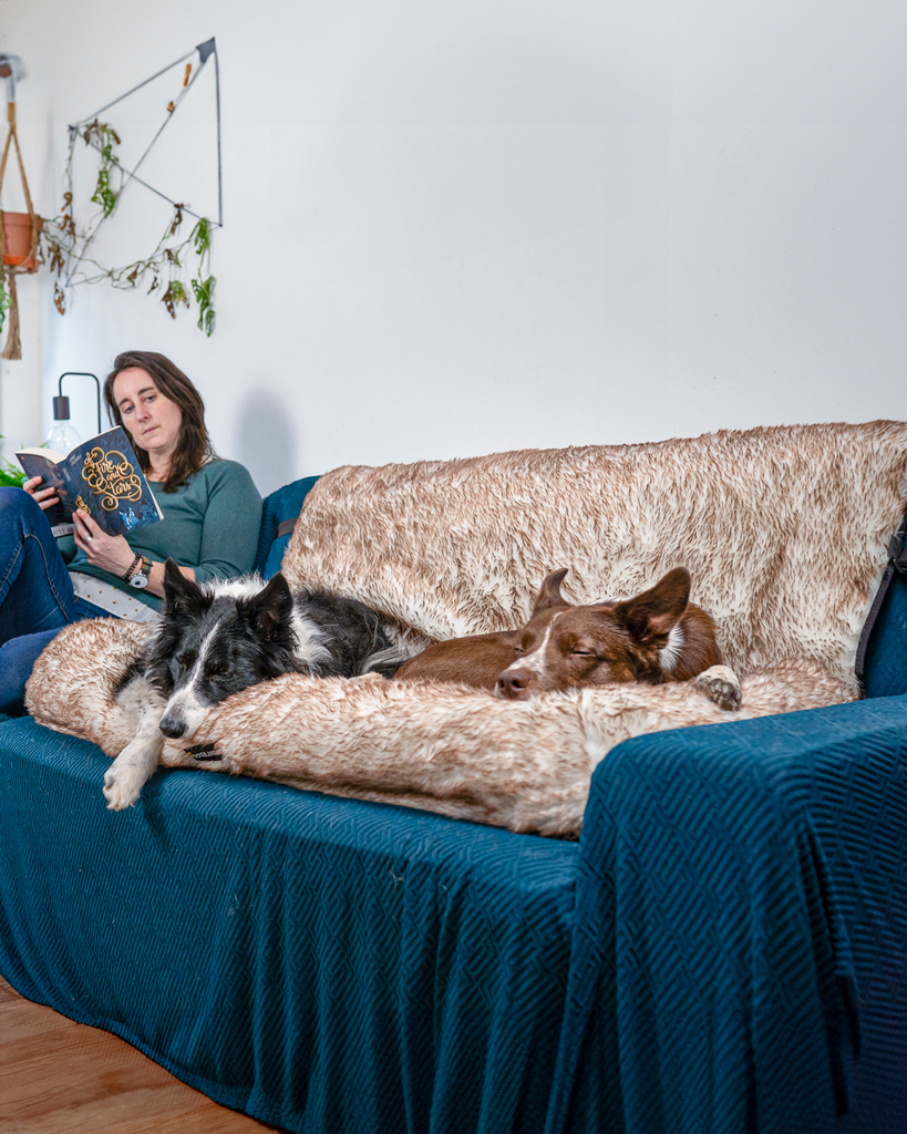 Dogslanding™ PuParadise Couch Cover