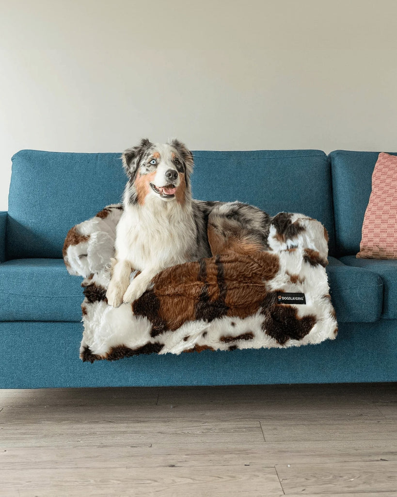 Calming Furniture Protector