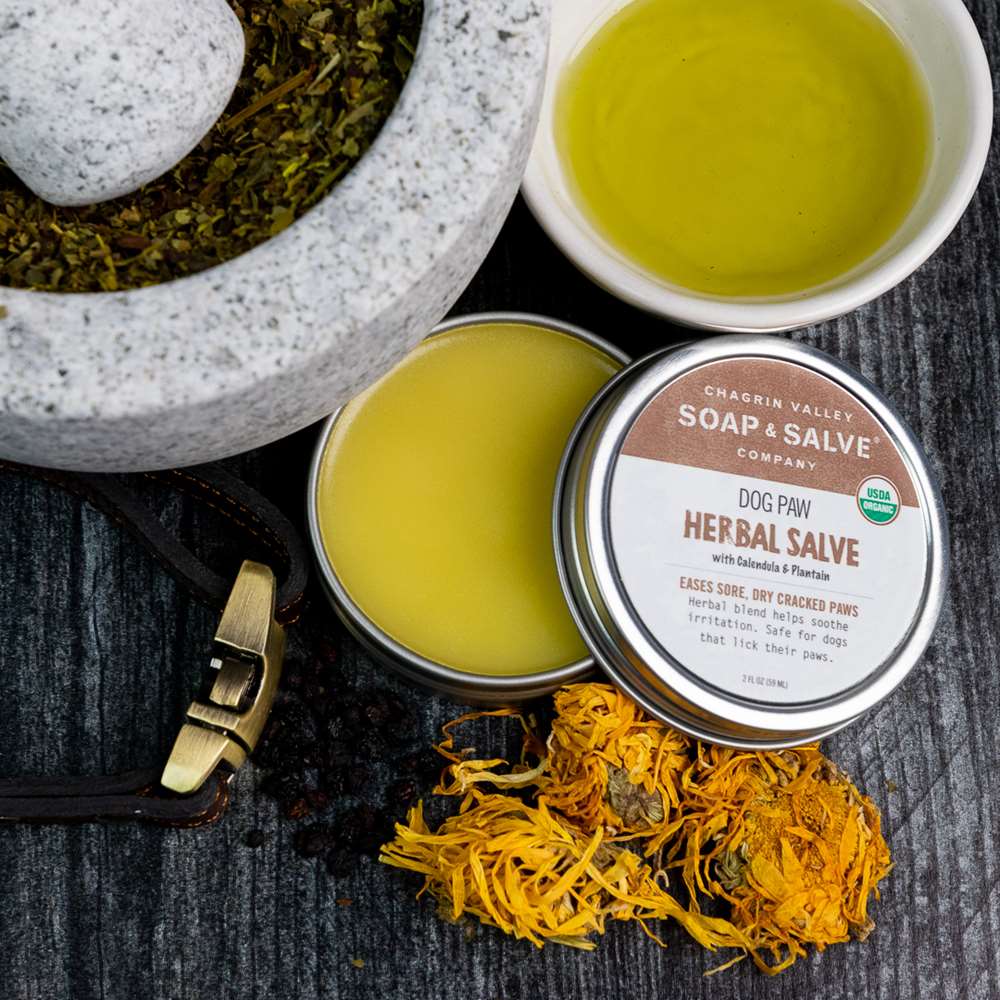 A close-up of herbal salve in a glass jar, with various herbs arranged around it, emphasizing its organic composition.