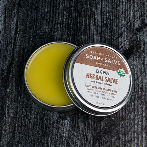 An open jar of organic herbal salve with a smooth texture, placed on a wooden surface alongside various herbs.