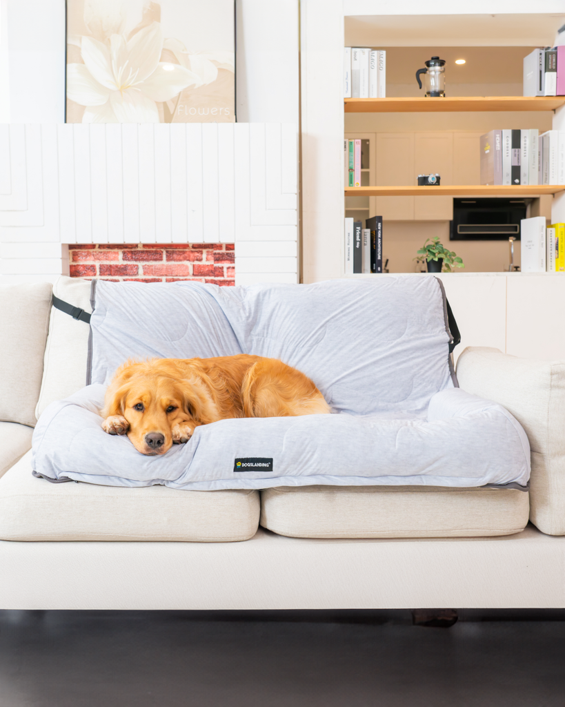 Dogslanding™ PuParadise Couch Cover