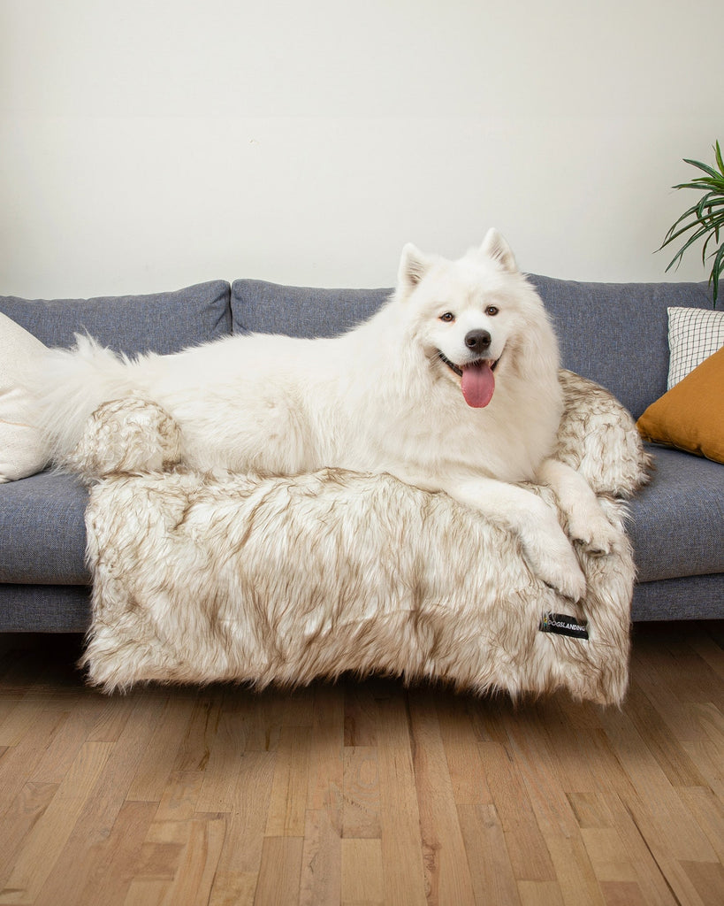 Calming Furniture Protector