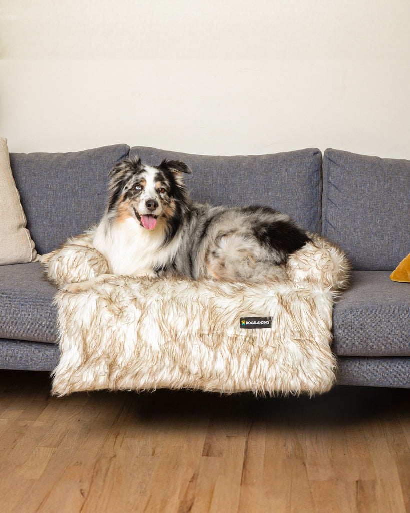Calming Furniture Protector