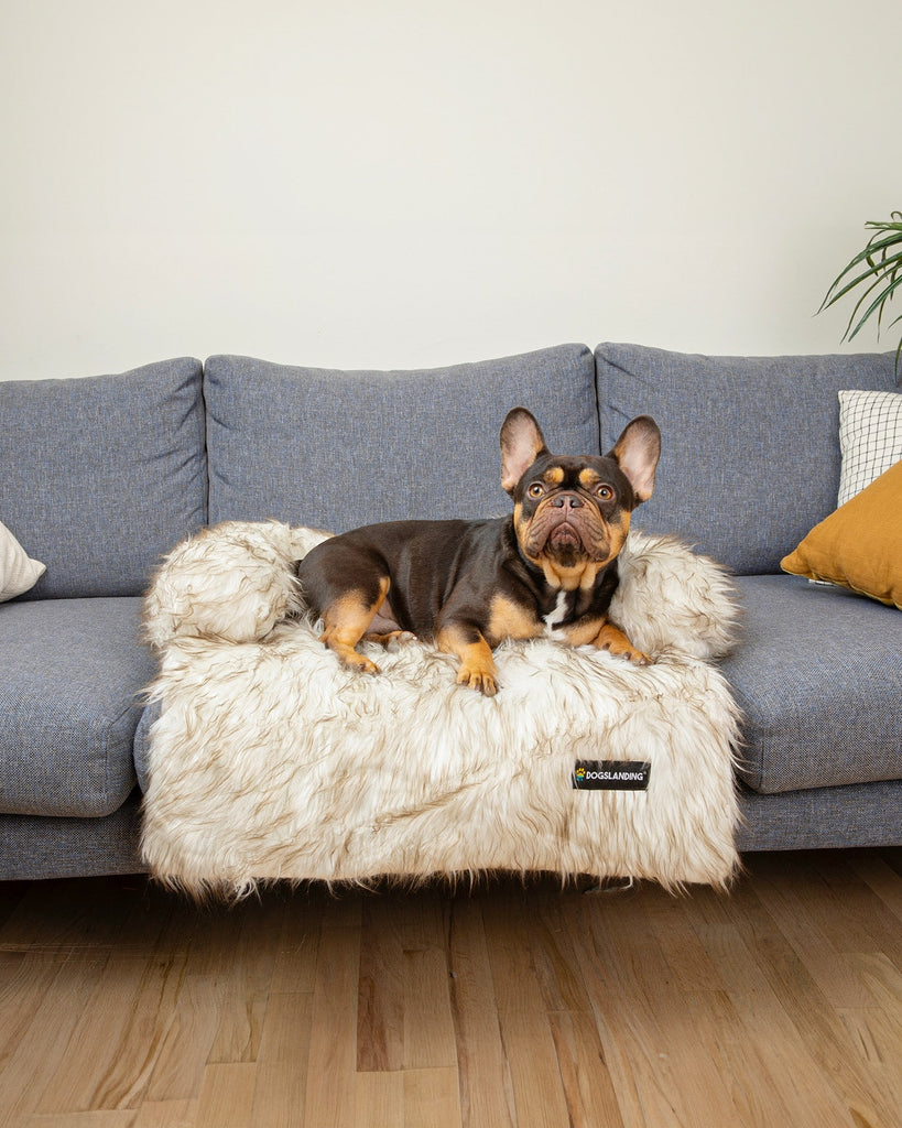 Calming Furniture Protector