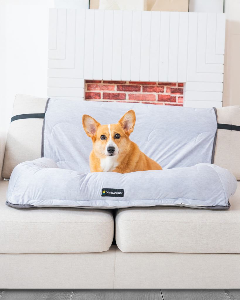 Dogslanding™ PuParadise Couch Cover