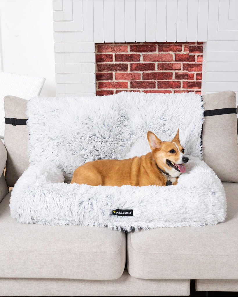 Dogslanding™ PuParadise Couch Cover