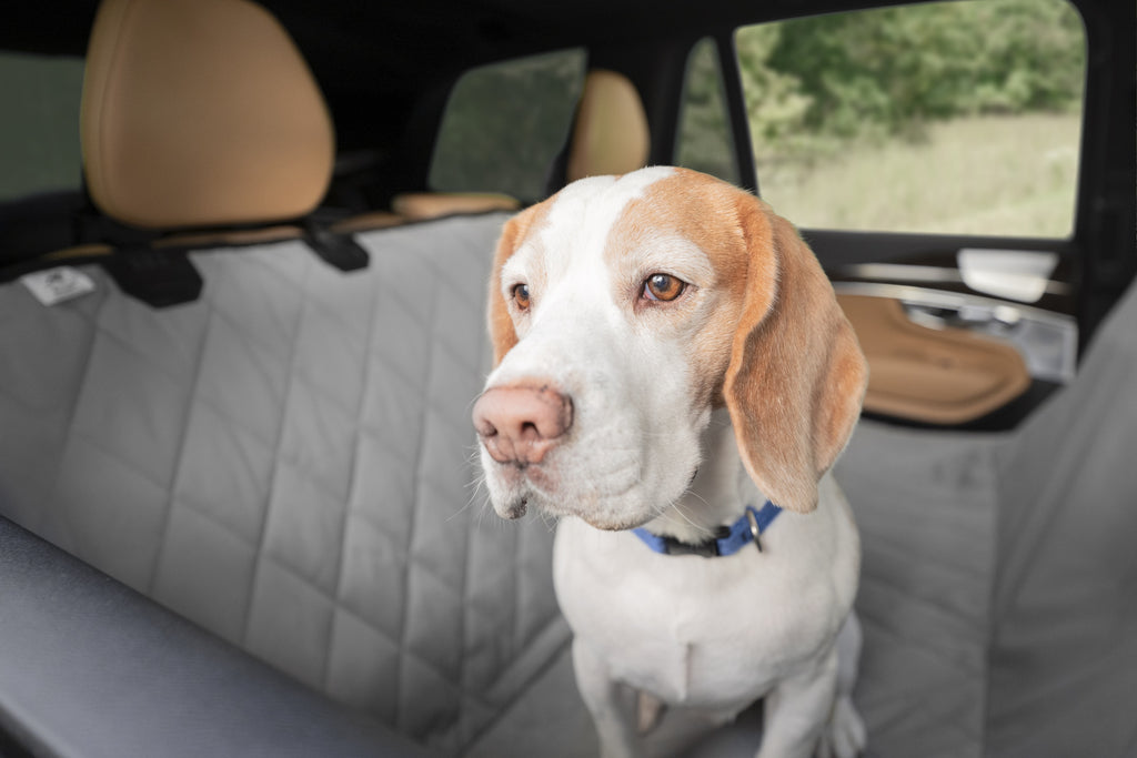 Rear Car Seat Protector Premium Black